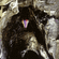 grotten van rochefort